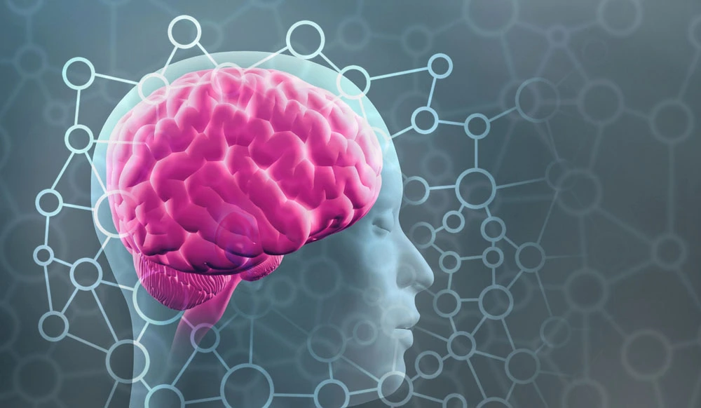 What is the Memory Capacity of a Human Brain?